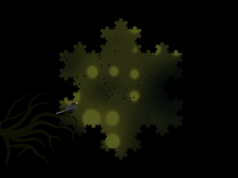 Bird on Branch at Night
