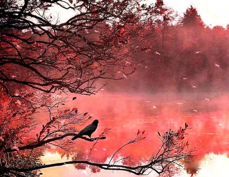 Bird on Branch