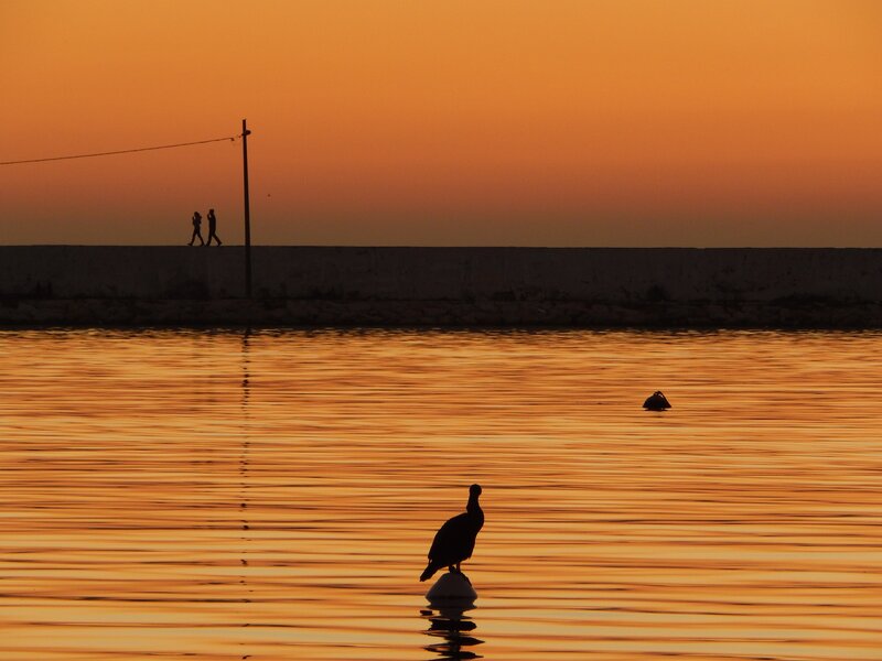 Bird on Buoy at Sunset