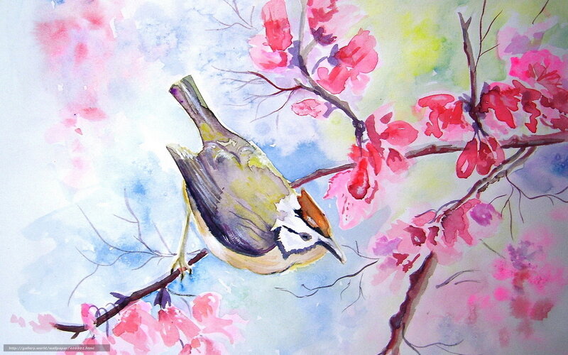 Bird on Cherry Branch — Pink, Serene