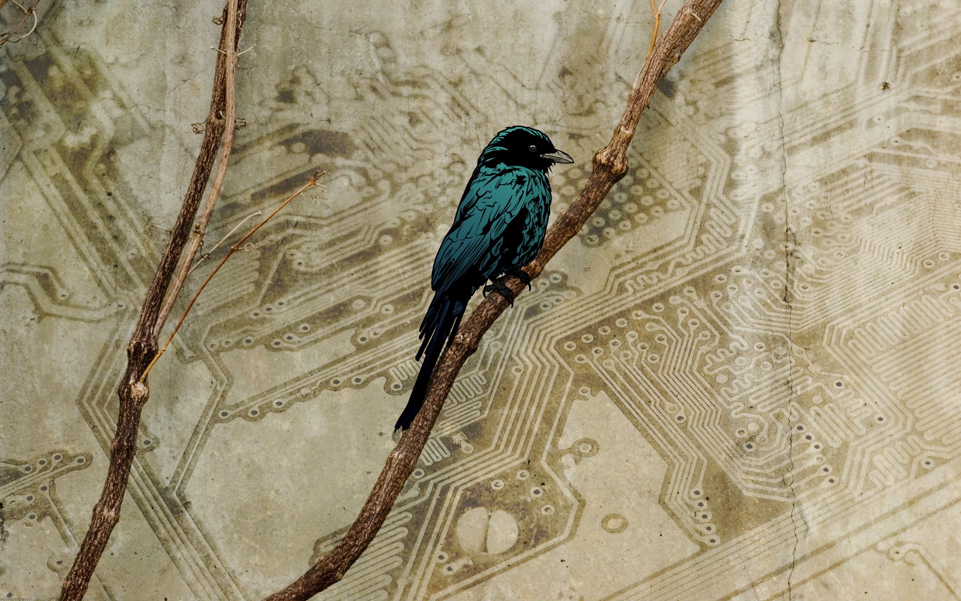 bird on circuit board