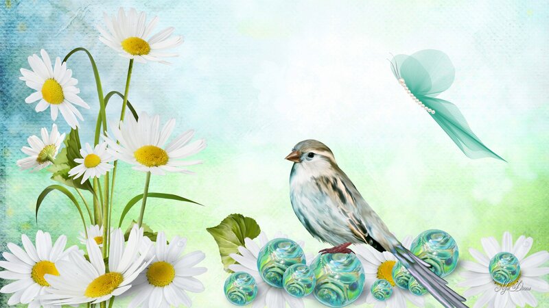 Bird on Daisies
