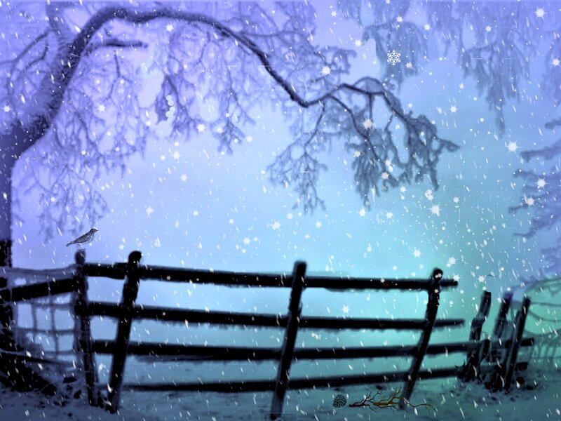 Bird on Fence in Snow