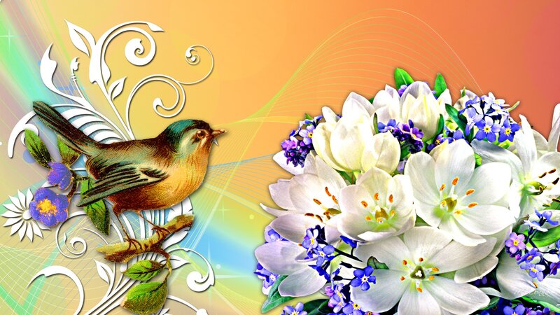 Bird on Floral Branch — White