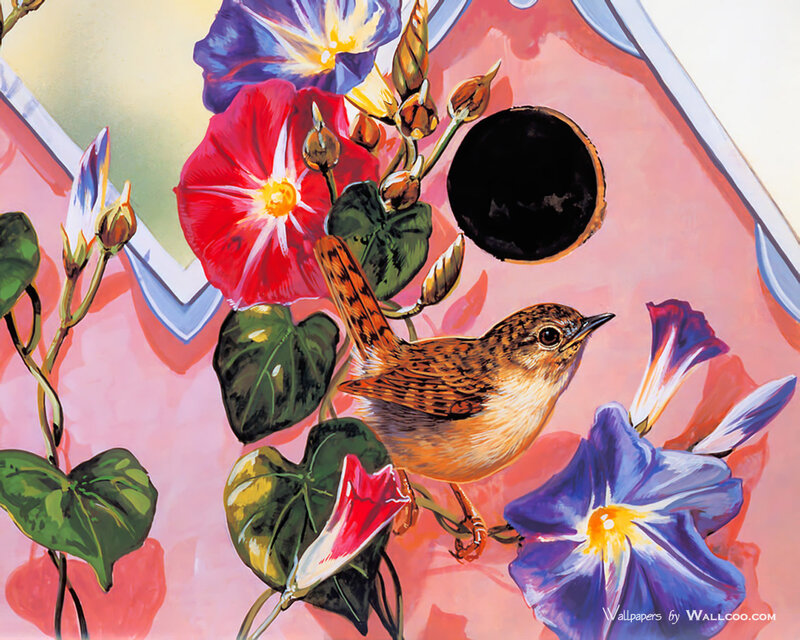 Bird on Flower Vine