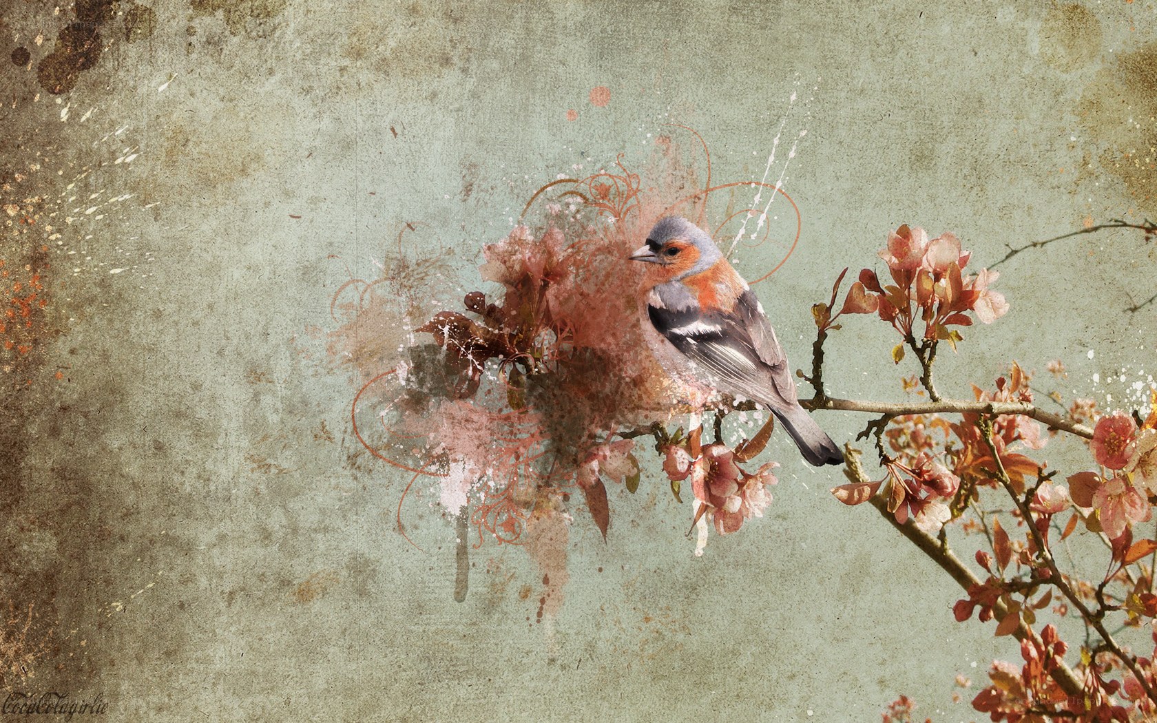 bird on flowering branch