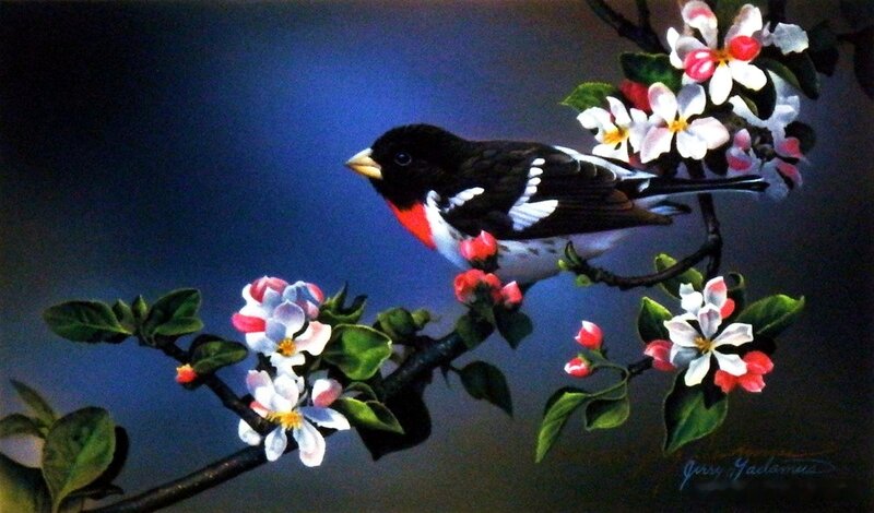 Bird on Flowering Branch — Black, Serene