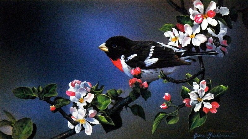 Bird on Flowering Branch — Black