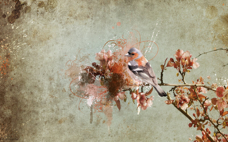 Bird on Flowering Branch — Brown, Serene, Spring, Digital Art, Flowers, Pink