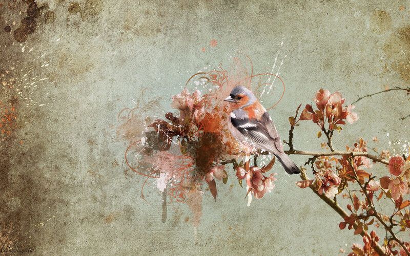 Bird on Flowering Branch — Brown, Serene, Spring, Digital Art, Flowers