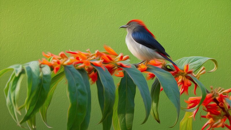 Bird on Flowering Branch — Green, Calm, Digital Art