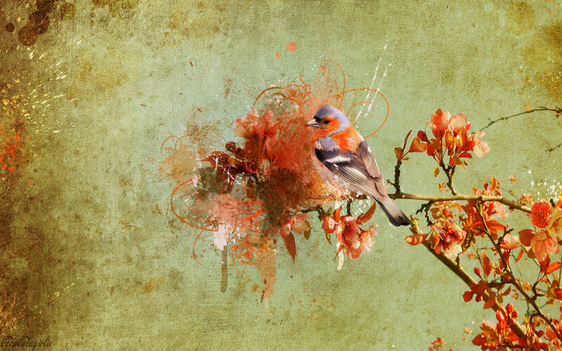 Bird on Flowering Branch — Green, Calm
