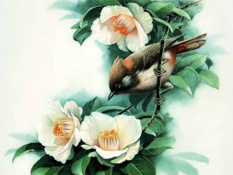 Bird on Flowering Branch — Green, Serene, Illustration