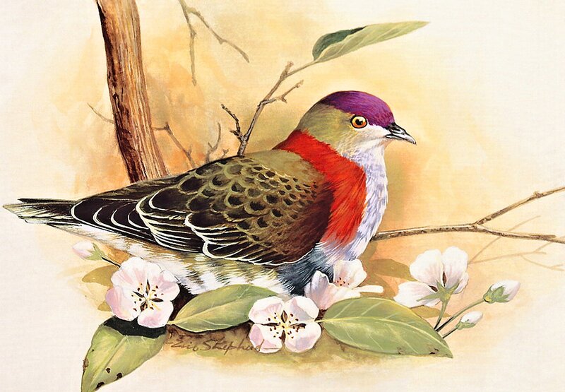 Bird on Flowering Branch — Green, Serene, Spring