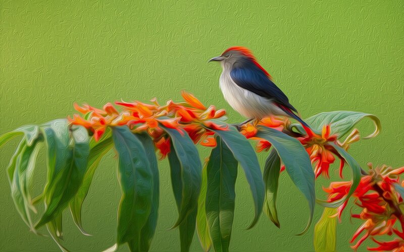 Bird on Flowering Branch — Green