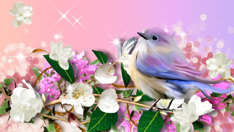 Bird on Flowering Branch — Pink, Dreamy