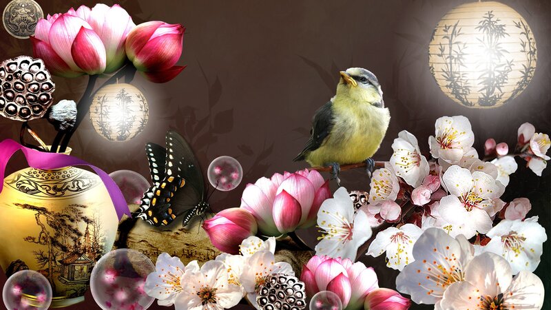 Bird on Flowering Branch — Pink, Serene, Spring