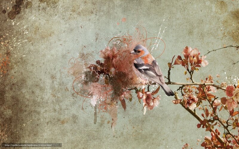 bird on flowering branch