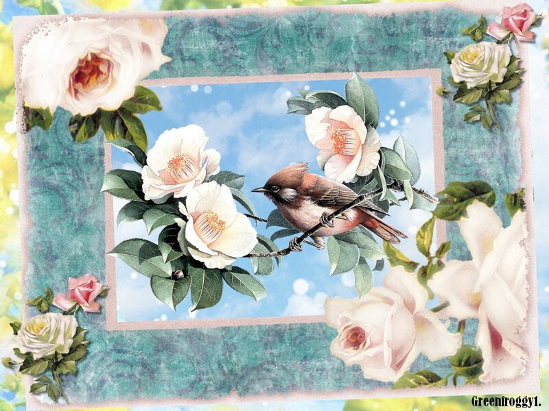 Bird on Flowering Branch — White, Serene, Spring, Illustration