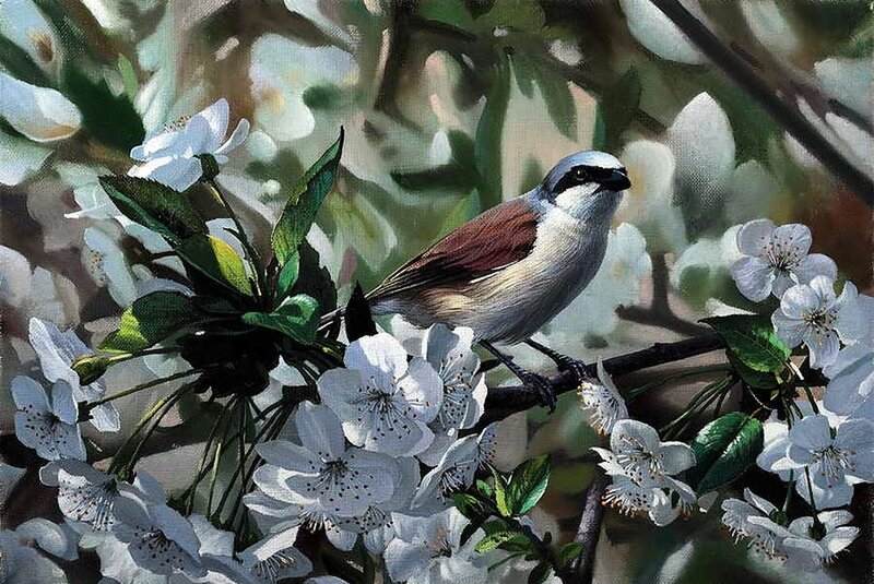 Bird on Flowering Branch — White, Serene, Spring, Painting