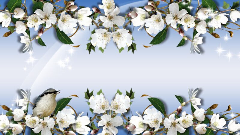 Bird on Flowering Branch — White