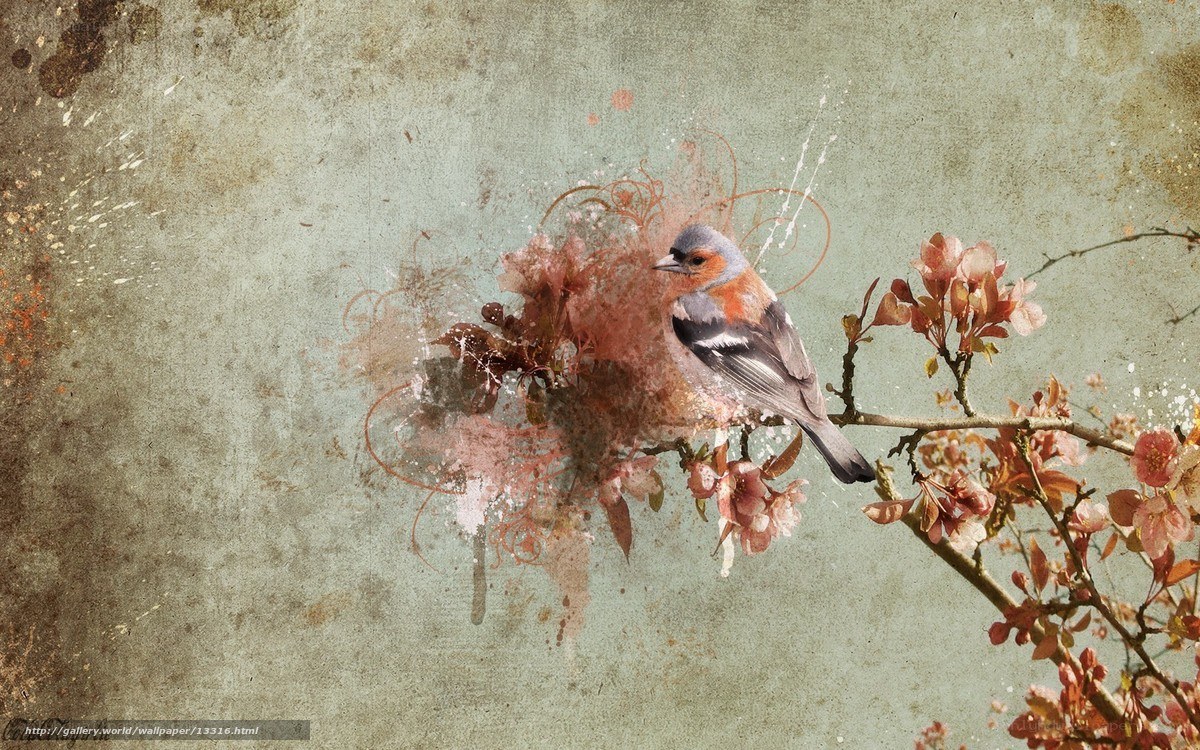 bird on flowering branch