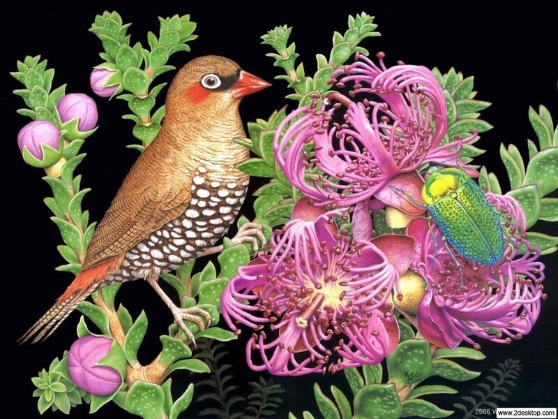 Bird on Flowering Plant