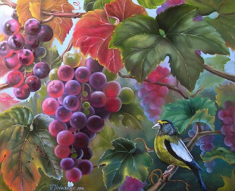 Bird on Grapevine