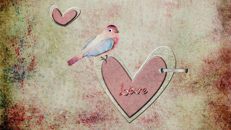 Bird on Heart Shape