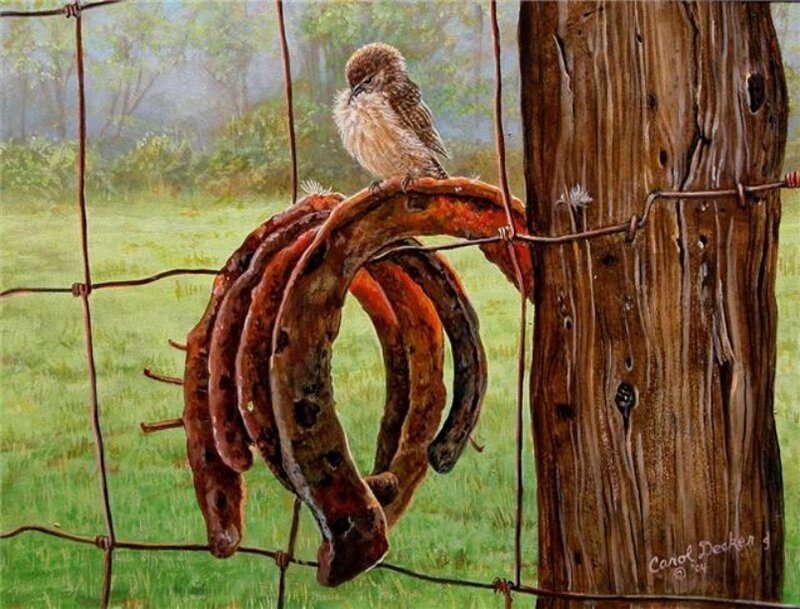Bird on Horseshoes