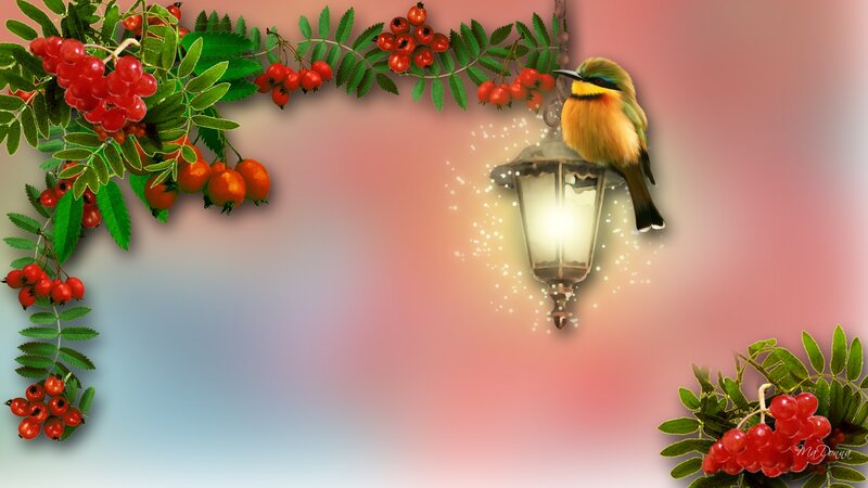 Bird on Lantern — Red