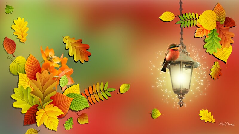 Bird on Lantern