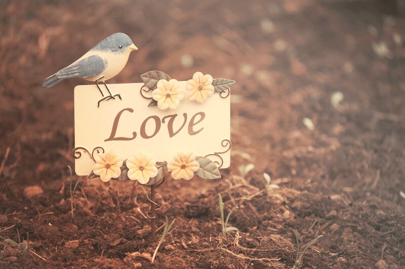 Bird on Love Sign — Brown
