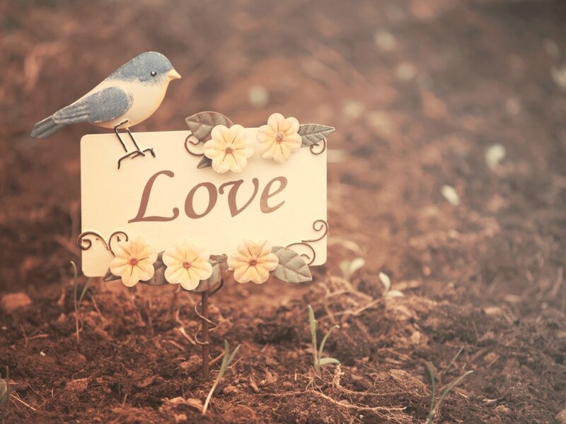 Bird on Love Sign