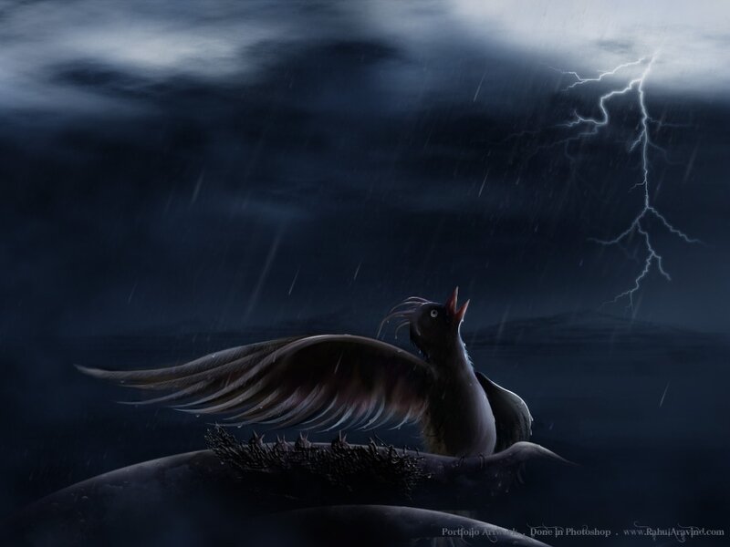 Bird on Nest in Storm