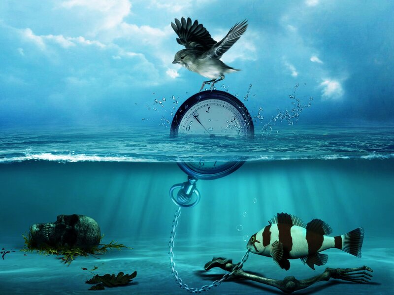 Bird on Pocket Watch