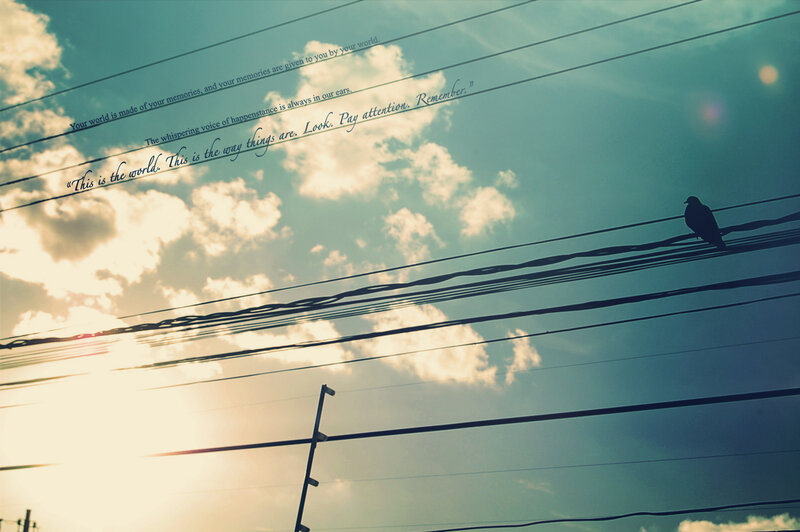 bird on power lines