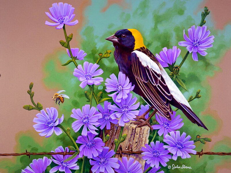 Bird on Purple Flowers — Serene