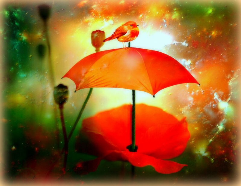 Bird on Red Umbrella