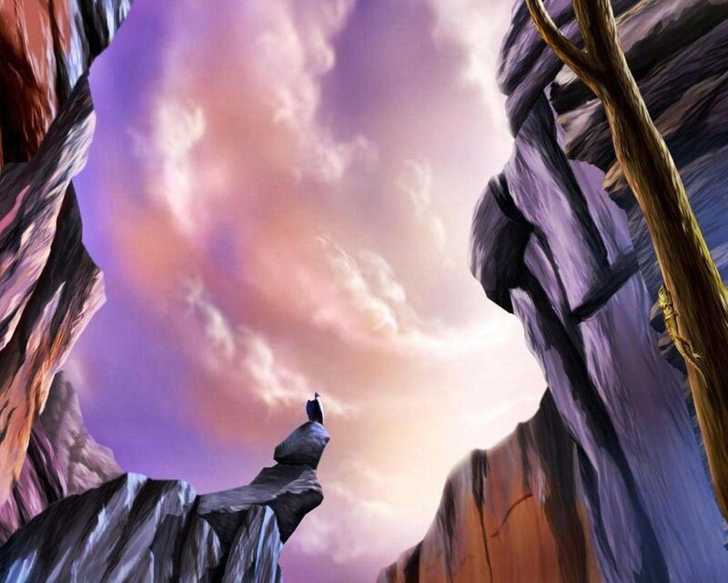 Bird on Rock Formation