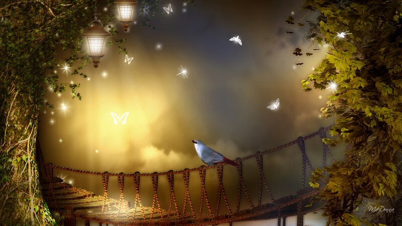 Bird on Rope Bridge