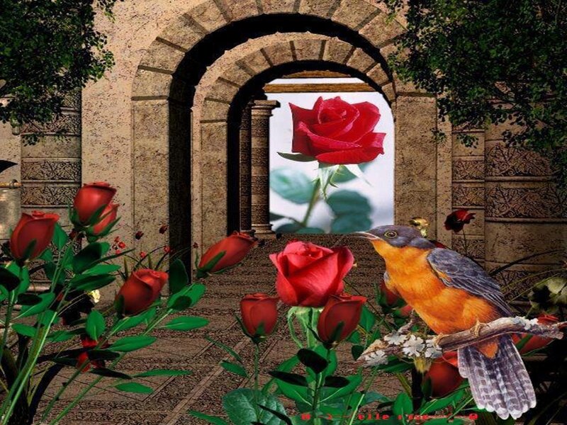 Bird on Rose Bush — Red