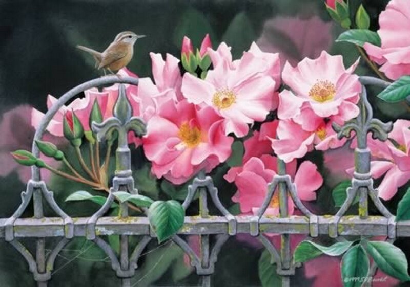 Bird on Rose Bush
