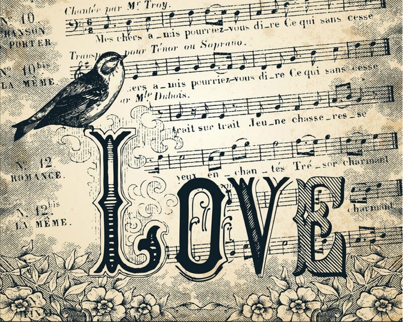 Bird on Sheet Music