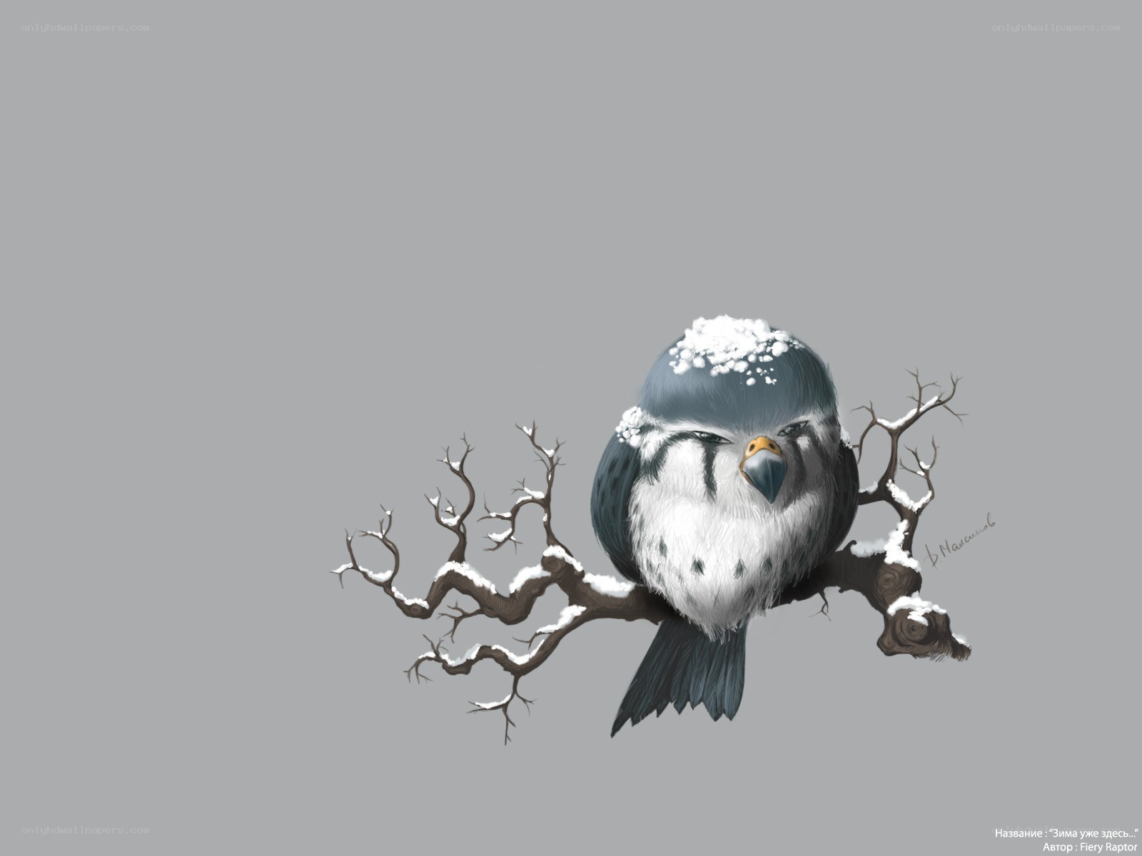 bird on snowy branch