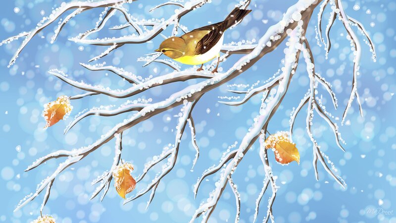 Bird on Snowy Branch — Blue, Calm