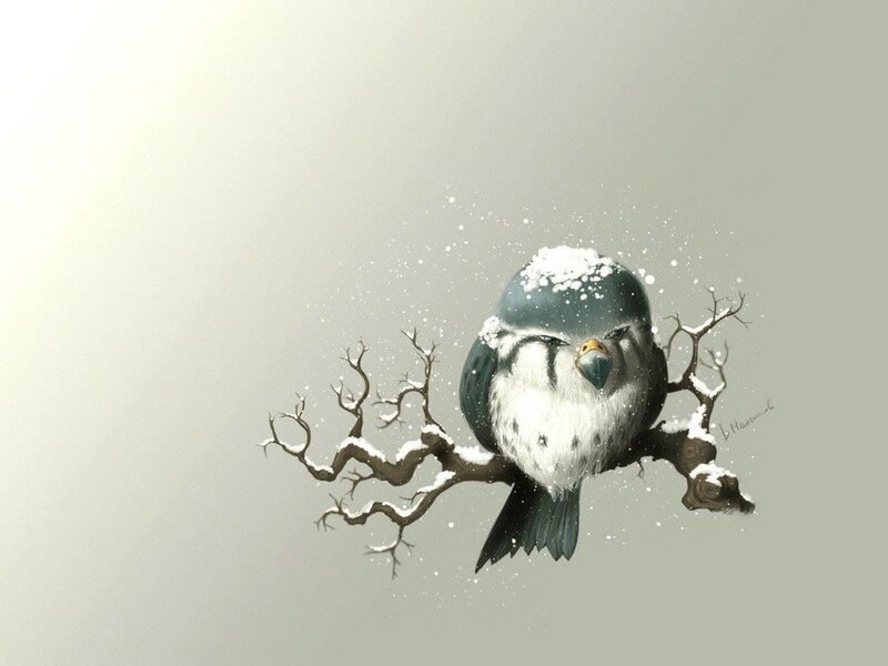 Bird on Snowy Branch — Gray