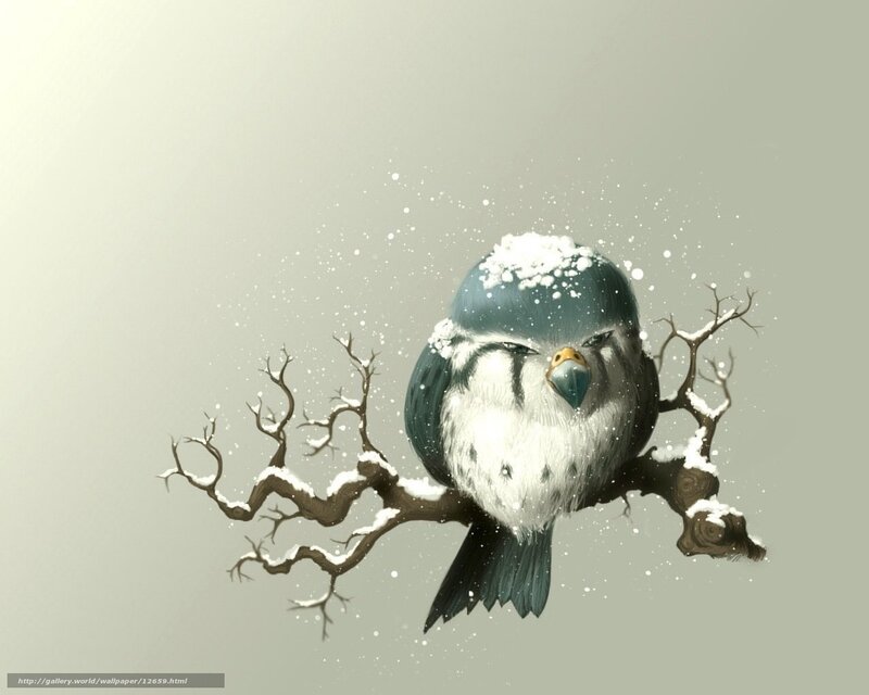 bird on snowy branch