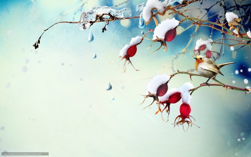 Bird on Snowy Branch — White, Serene, Winter, Digital Art