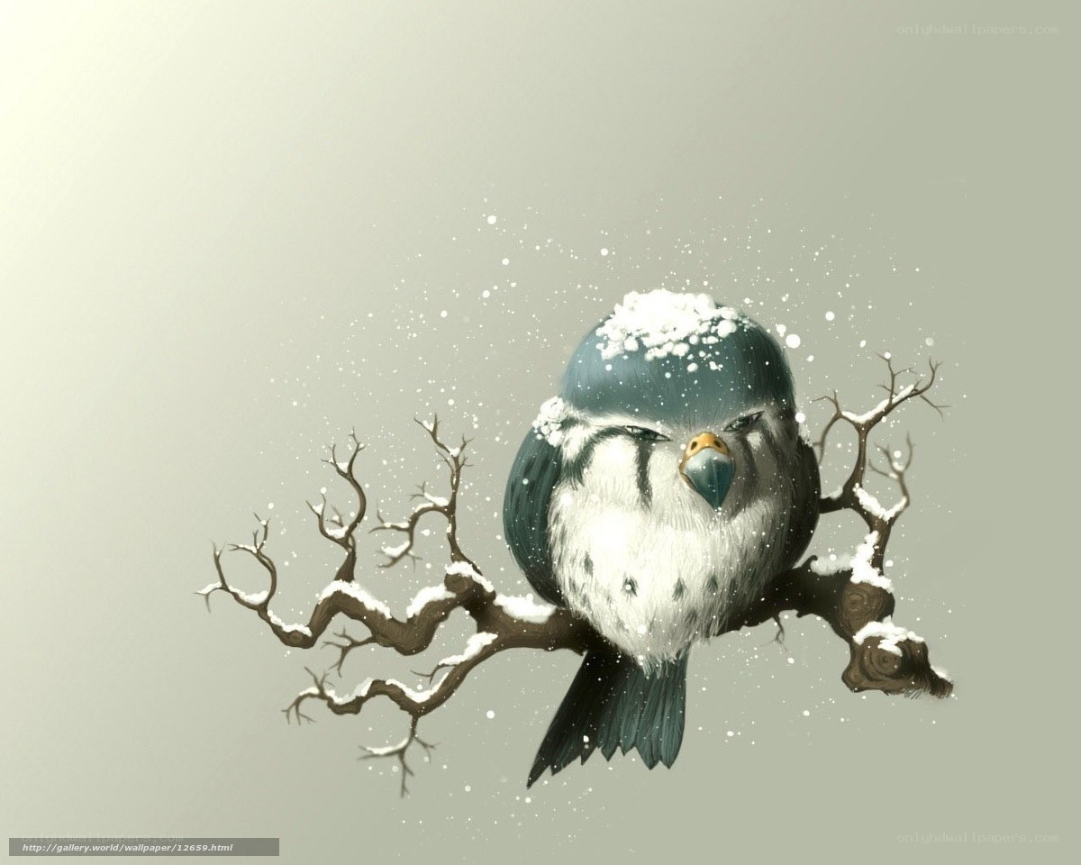 bird on snowy branch